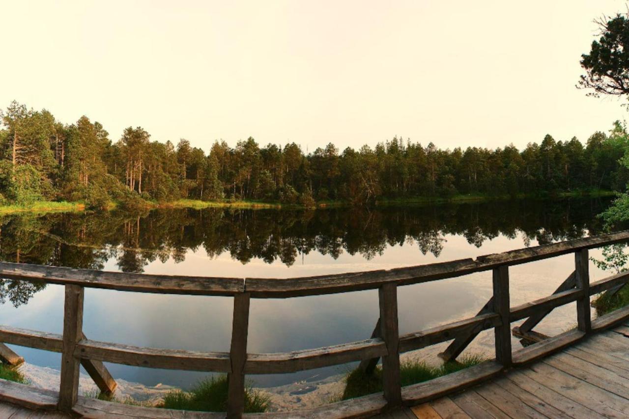 Pod Rejvizem Chalet Jeseník