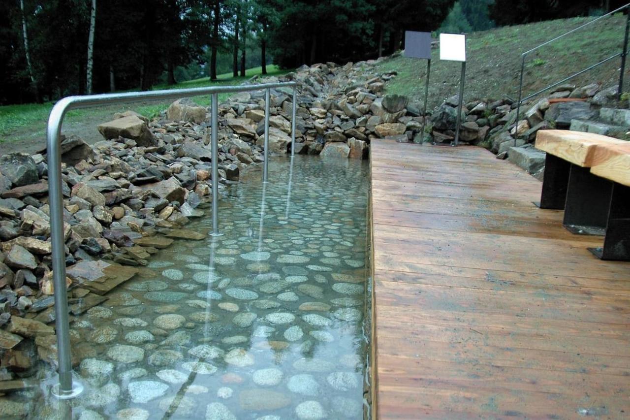 Pod Rejvizem Chalet Jeseník
